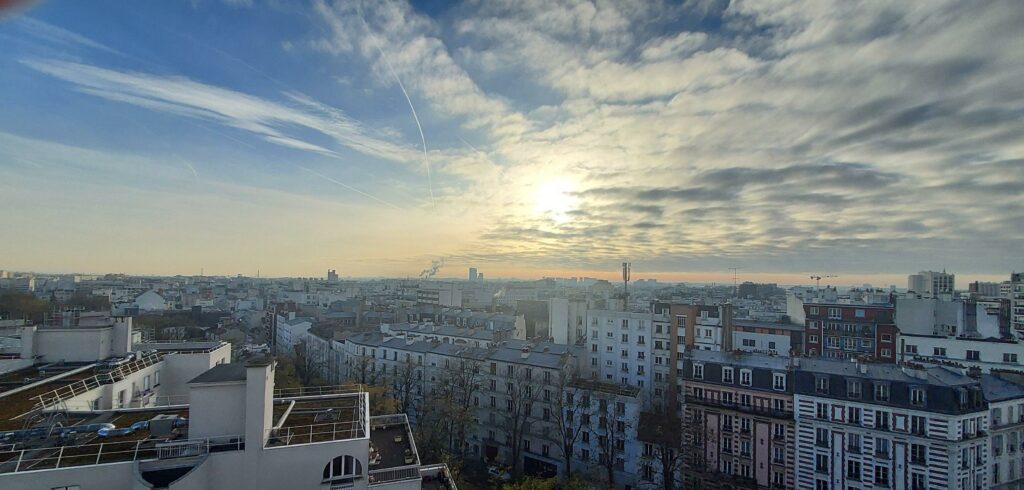 View of Paris roofs in zinc